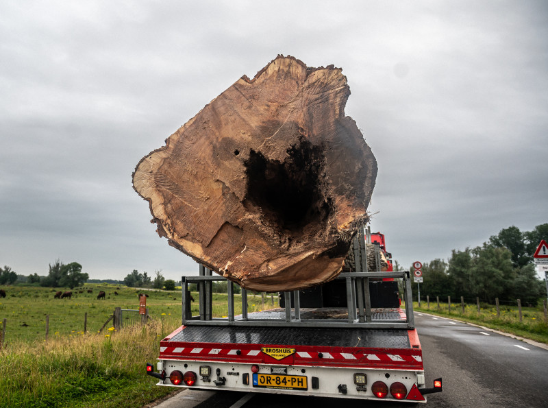 Populieren Slot Loevestein - Foto 22