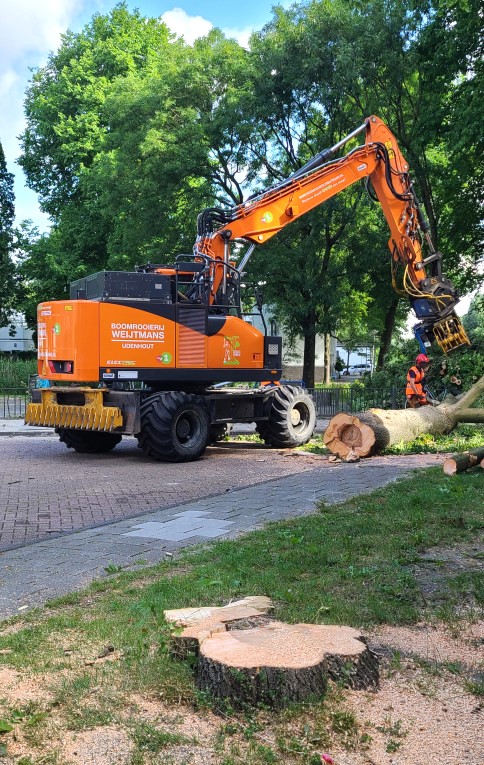 Amsterdam Electric - Foto 5