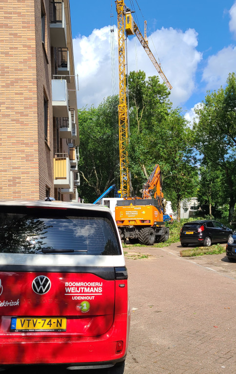 Amsterdam Electric - Foto 7