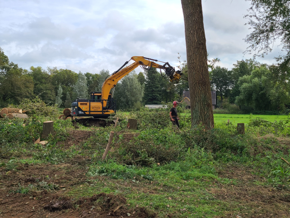 Herstel hakhoutwal landgoed Kasteel Heeswijk - Foto 3
