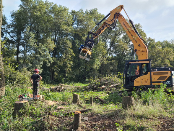 Herstel hakhoutwal landgoed Kasteel Heeswijk - Foto 6