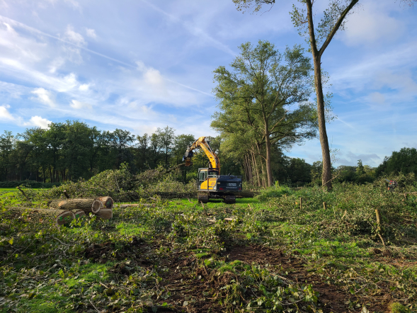 Herstel hakhoutwal landgoed Kasteel Heeswijk - Foto 7