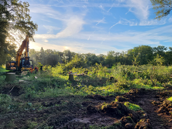Herstel hakhoutwal landgoed Kasteel Heeswijk - Foto 13
