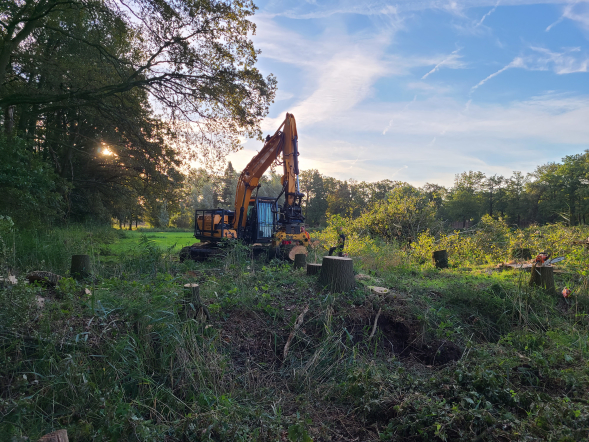 Herstel hakhoutwal landgoed Kasteel Heeswijk - Foto 15