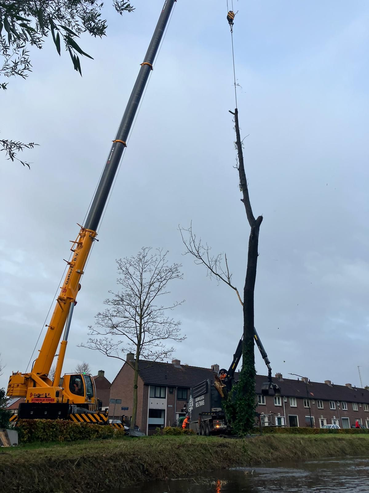 Stormschade ruimen Sint-Oedenrode - Foto 5