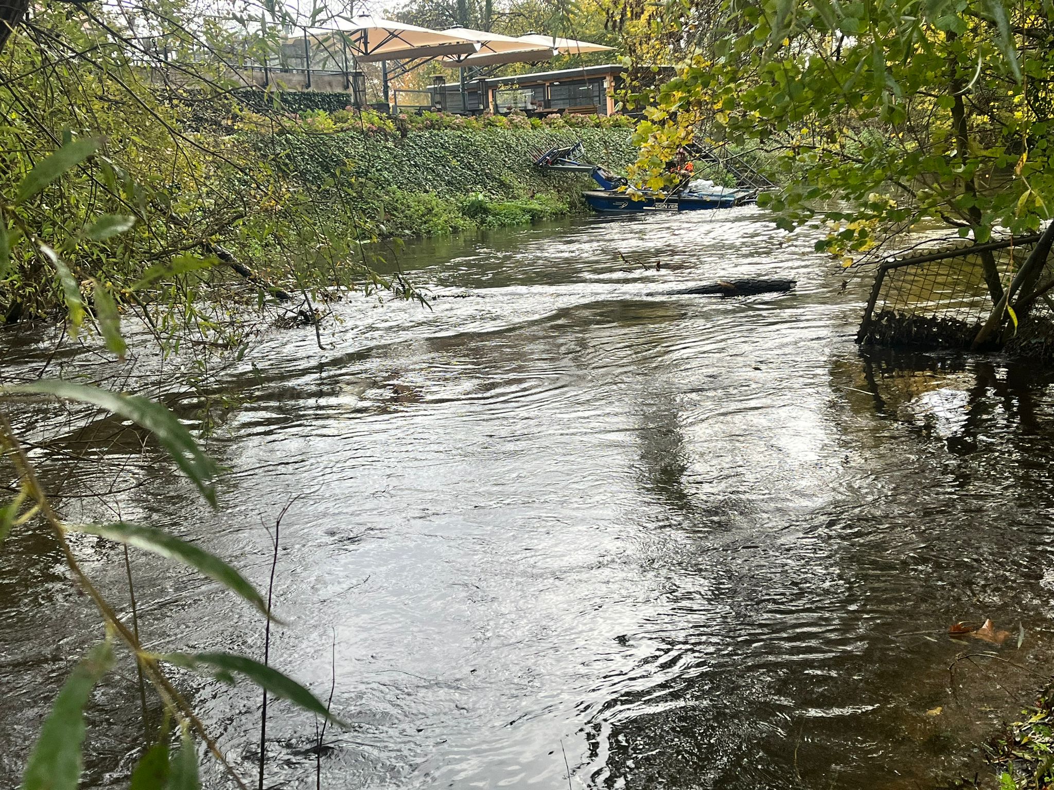 Stormschade ruimen Sint-Oedenrode - Foto 3