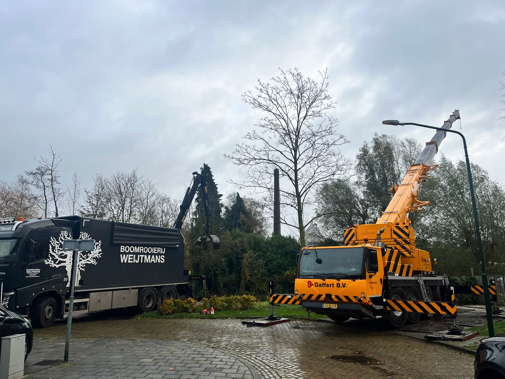 Stormschade ruimen Sint-Oedenrode - Foto 7