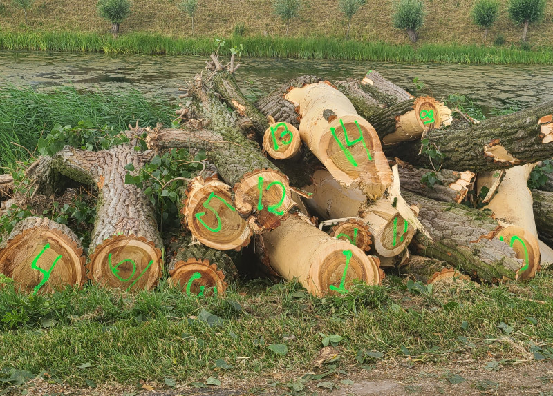 'Waarde inlands hout en snoeisel onderschat'