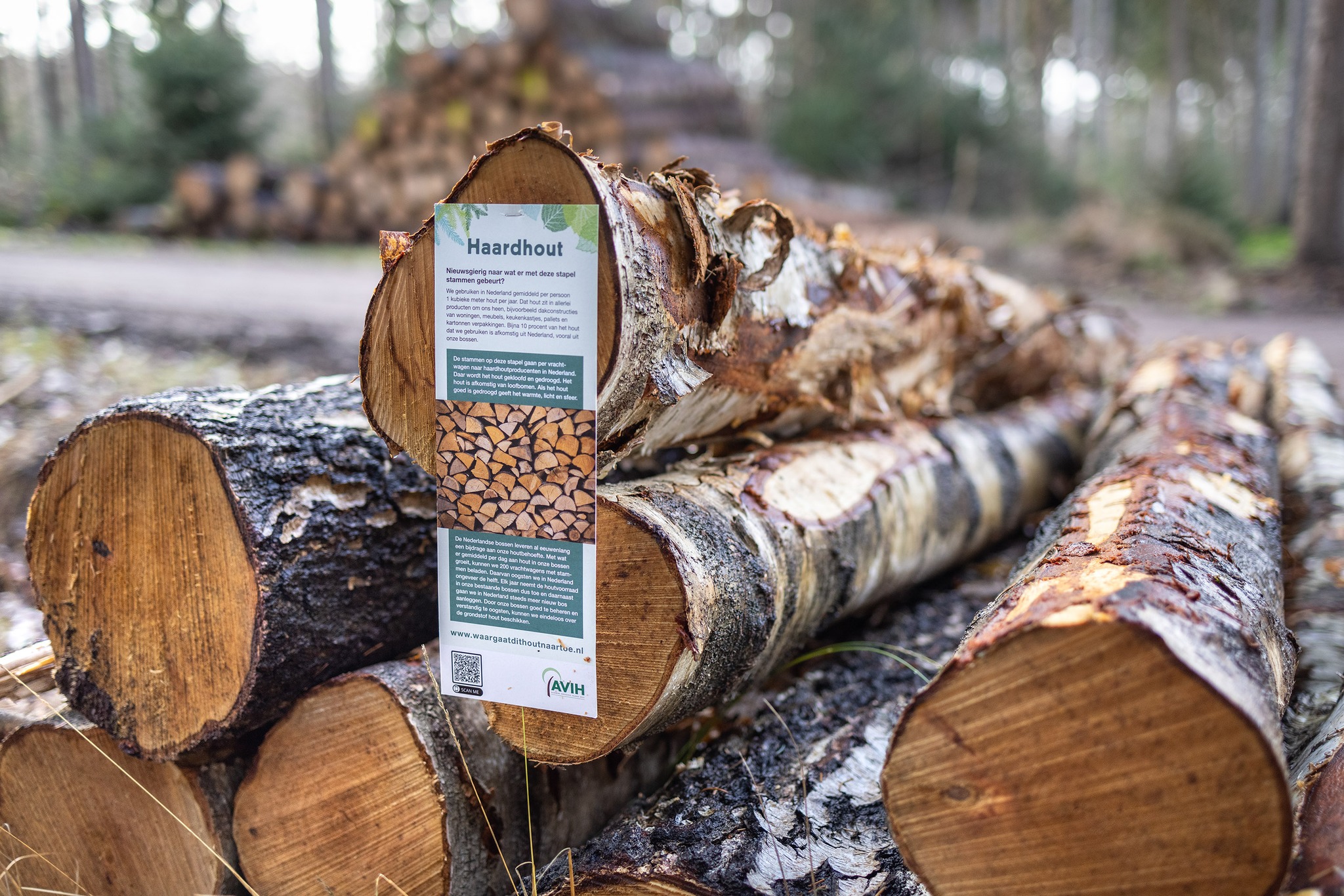 Info-kaart op geoogst stamhout