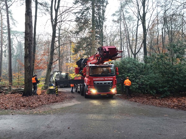 Renovatie Philips de Jongh park Eindhoven - Foto 1