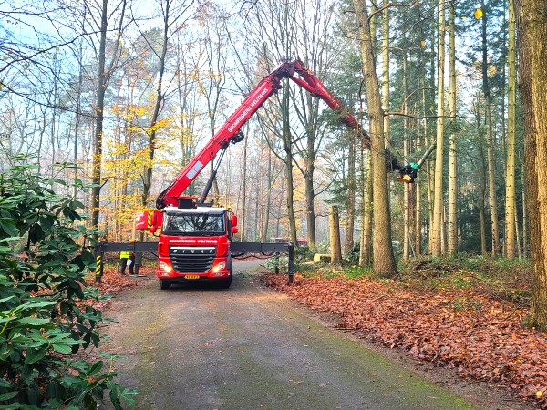 Renovatie Philips de Jongh park Eindhoven - Foto 3