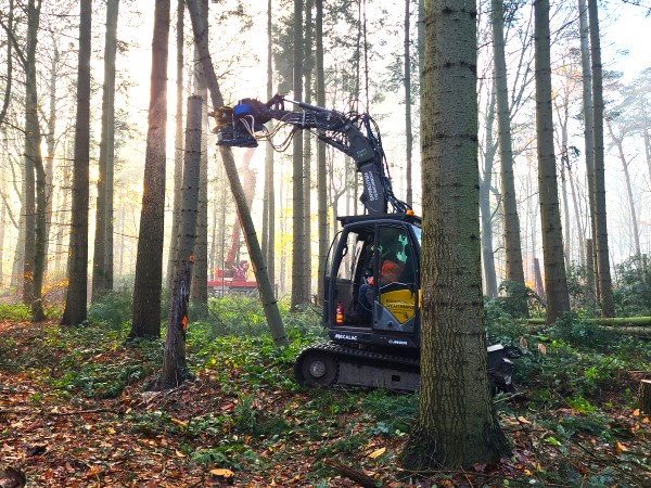 Renovatie Philips de Jongh park Eindhoven - Foto 2