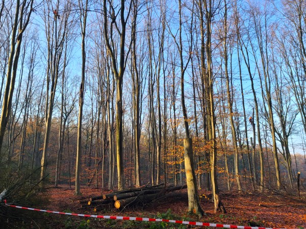 Renovatie Philips de Jongh park Eindhoven - Foto 8