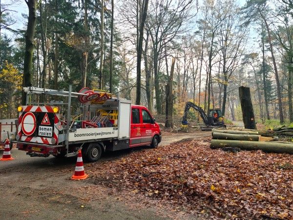 Renovatie Philips de Jongh park Eindhoven - Foto 10