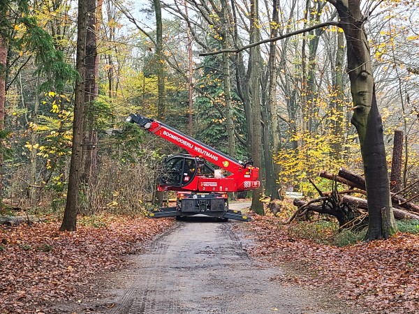 Renovatie Philips de Jongh park Eindhoven - Foto 11