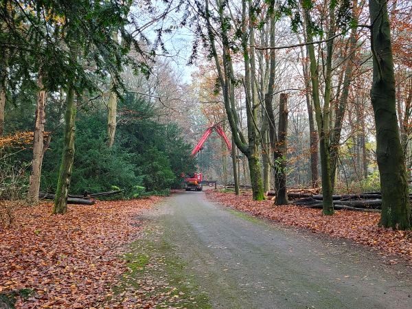 Renovatie Philips de Jongh park Eindhoven - Foto 12