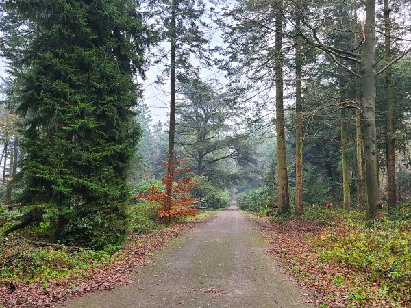 Renovatie Philips de Jongh park Eindhoven - Foto 13