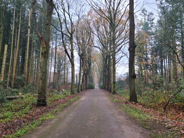 Renovatie Philips de Jongh park Eindhoven - Foto 9