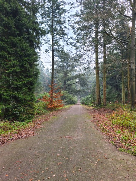 Renovatie Philips de Jongh park Eindhoven