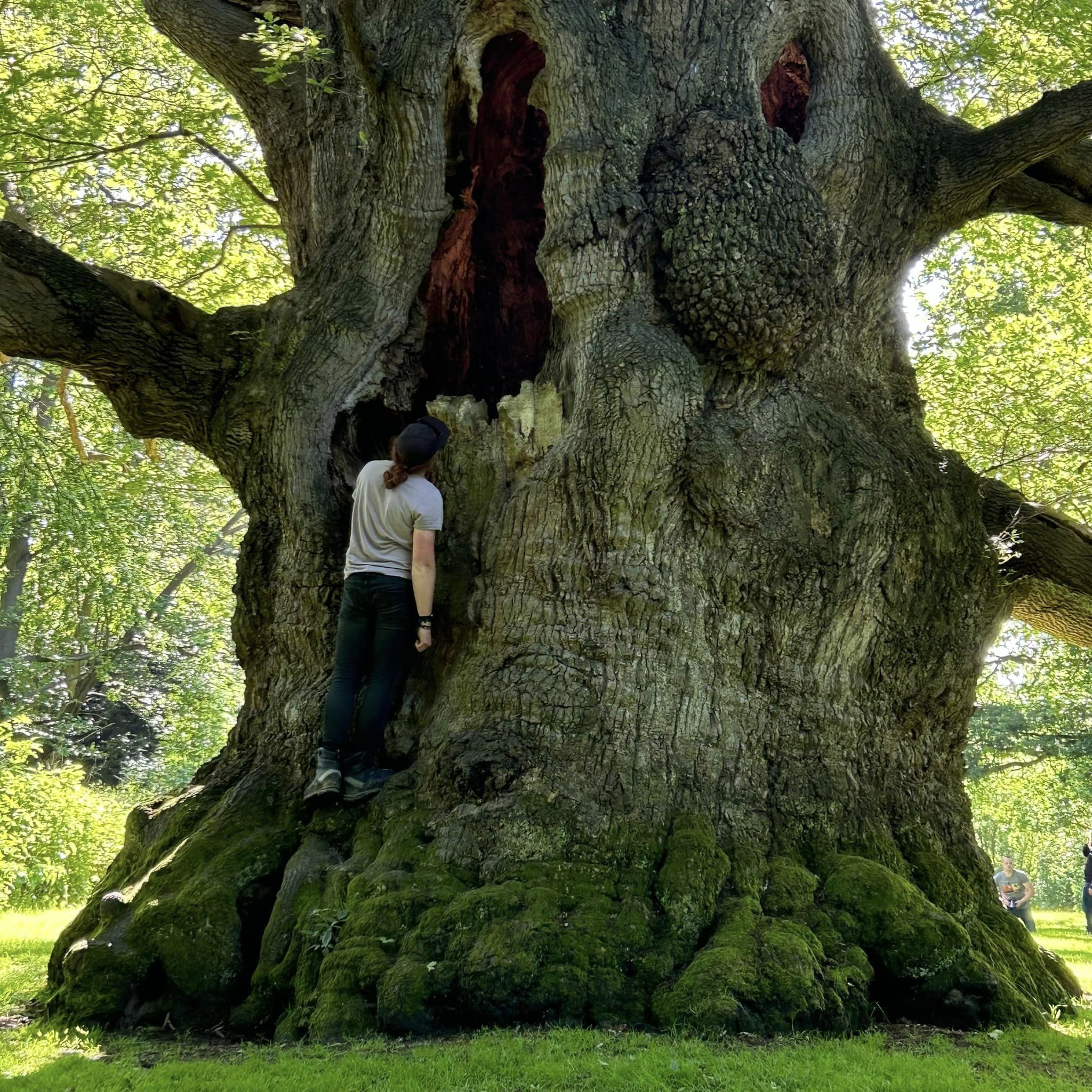 Dikke Bomen Studiereis 2024 - Foto 1