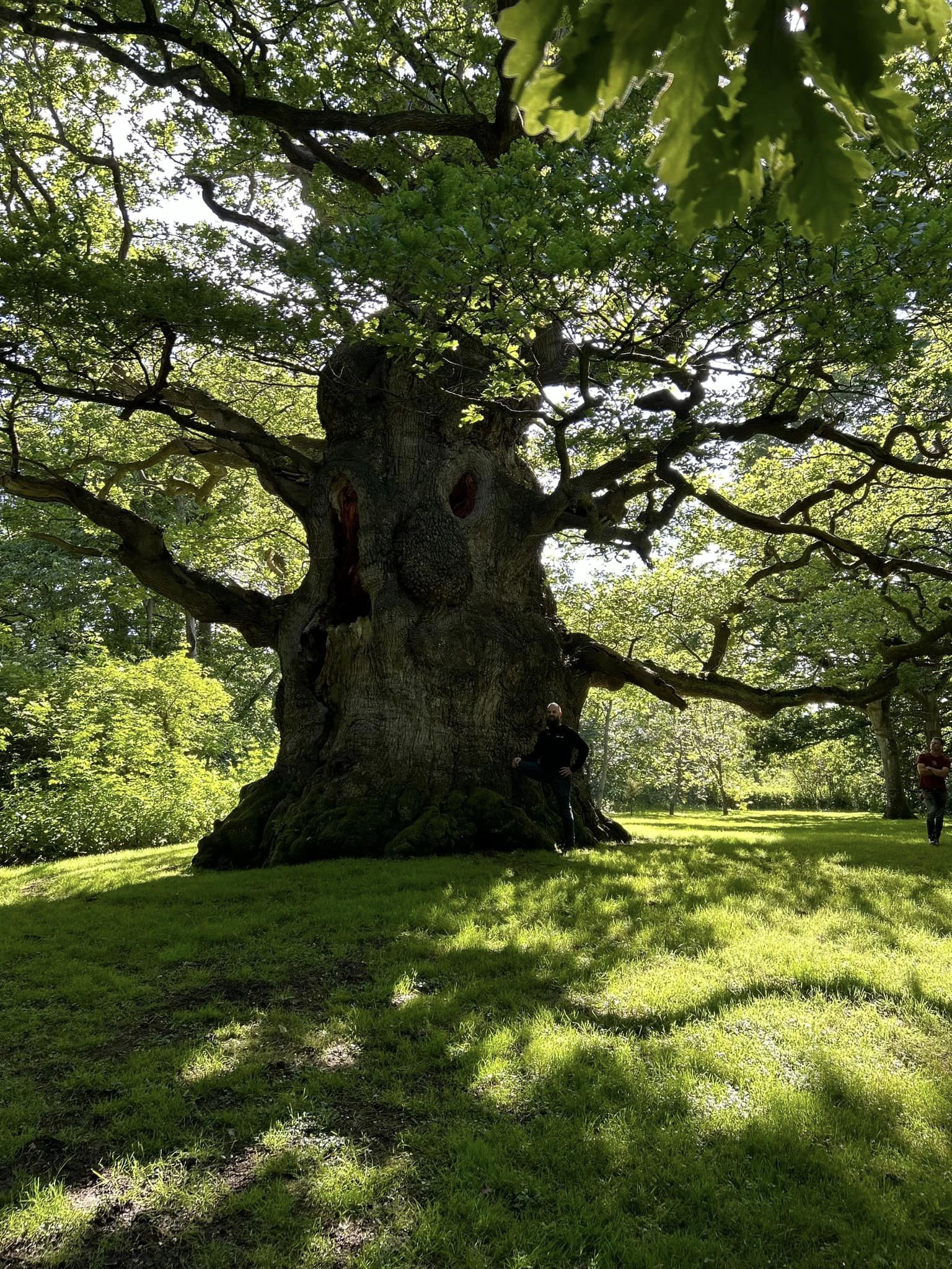 Dikke Bomen Studiereis 2024 - Foto 2