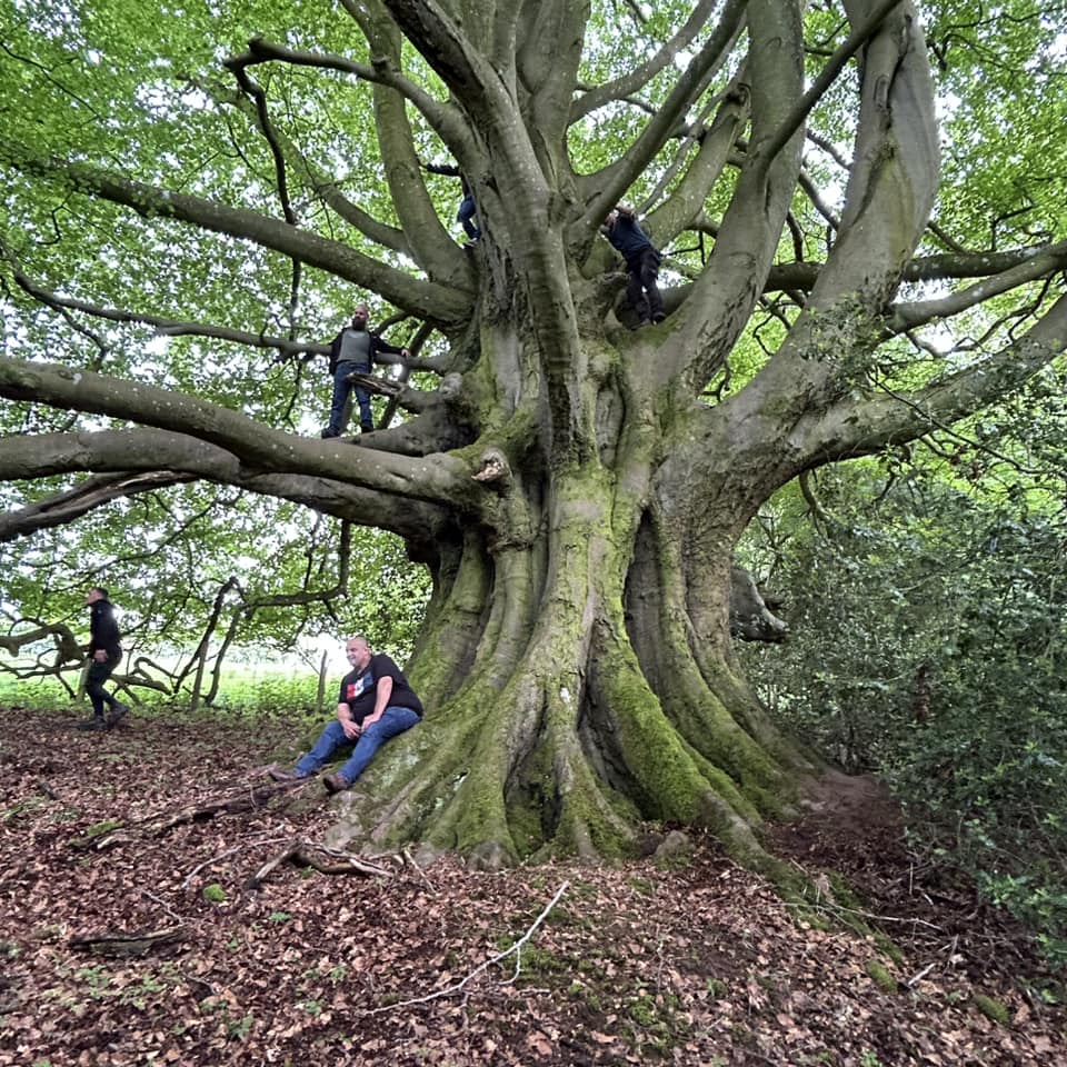 Dikke Bomen Studiereis 2024 - Foto 8