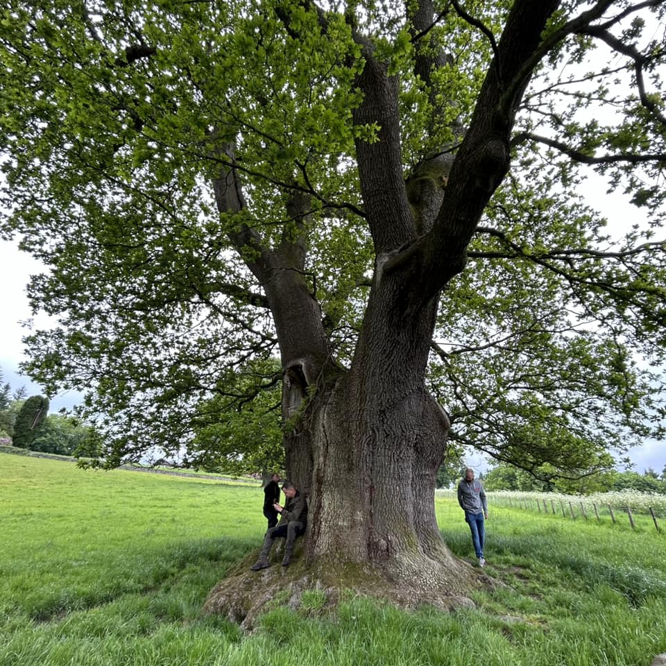 Dikke Bomen Studiereis 2024 - Foto 10