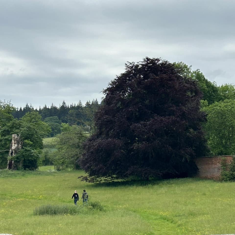 Dikke Bomen Studiereis 2024 - Foto 14