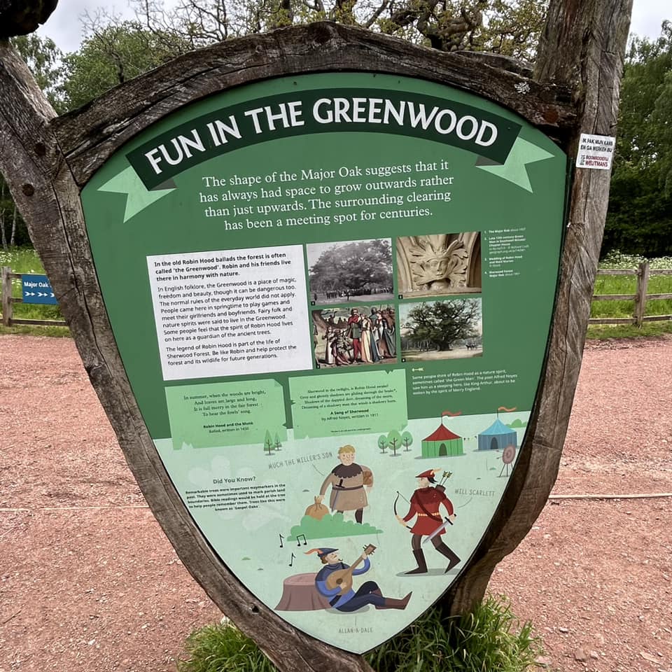 Dikke Bomen Studiereis 2024 - Foto 13