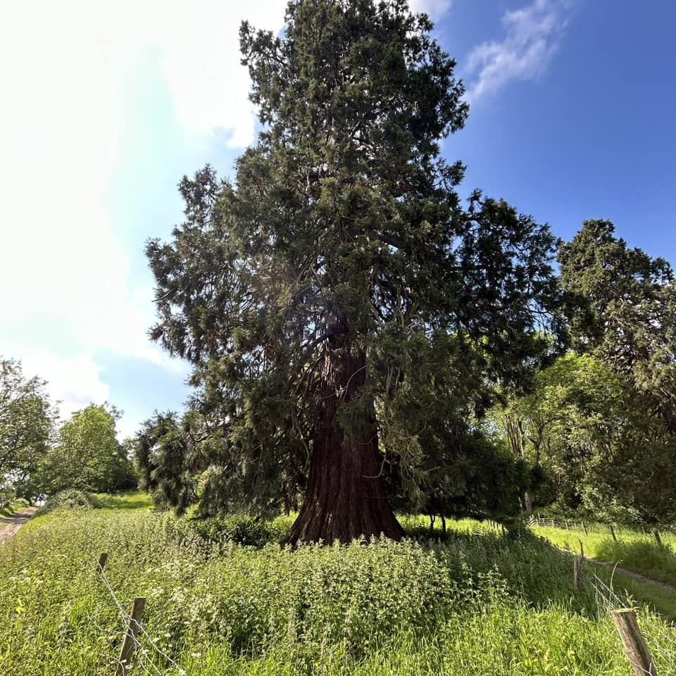 Dikke Bomen Studiereis 2024 - Foto 16