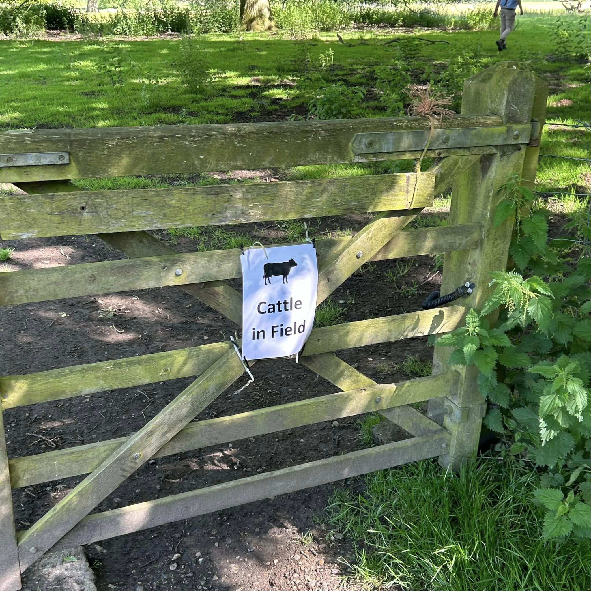 Dikke Bomen Studiereis 2024 - Foto 19