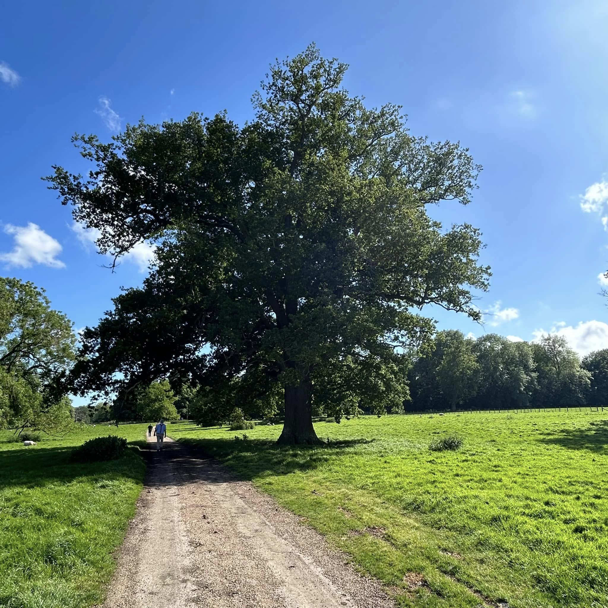 Dikke Bomen Studiereis 2024 - Foto 21