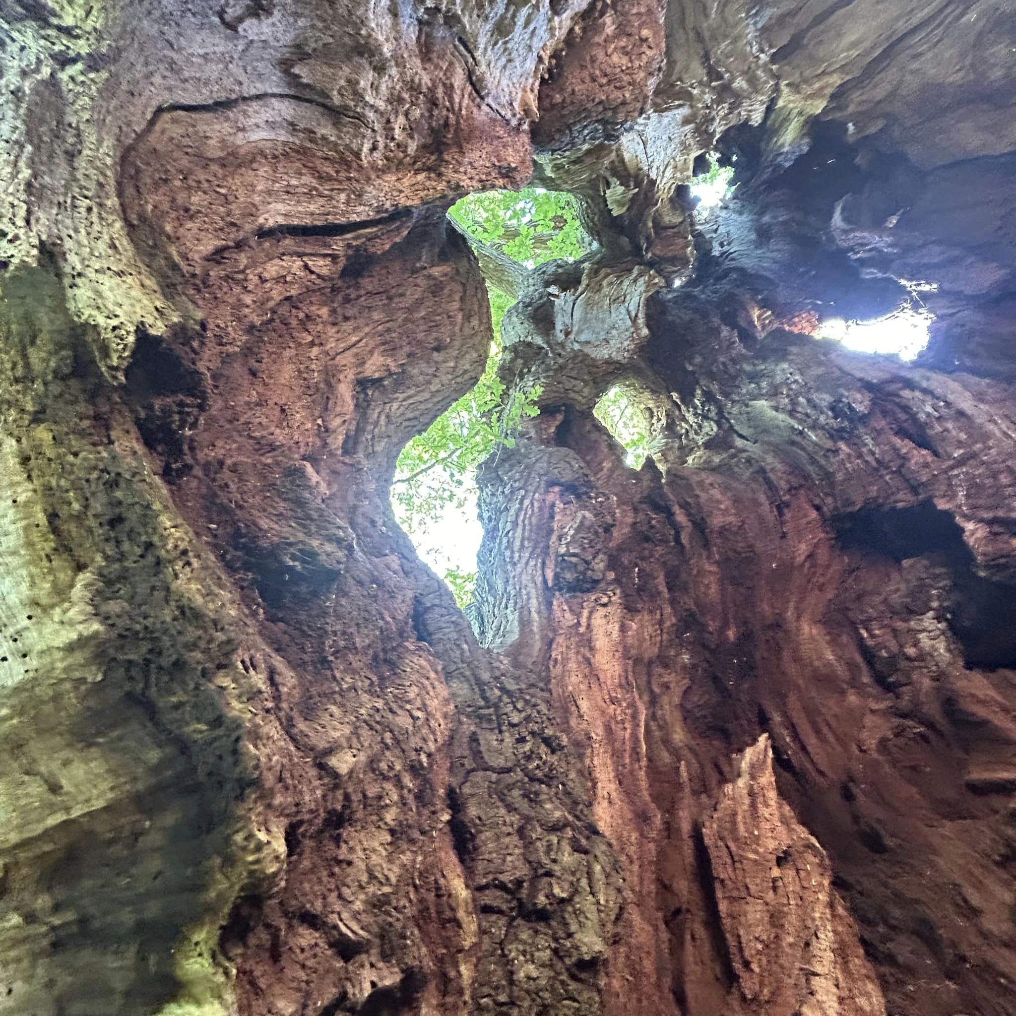 Dikke Bomen Studiereis 2024 - Foto 23