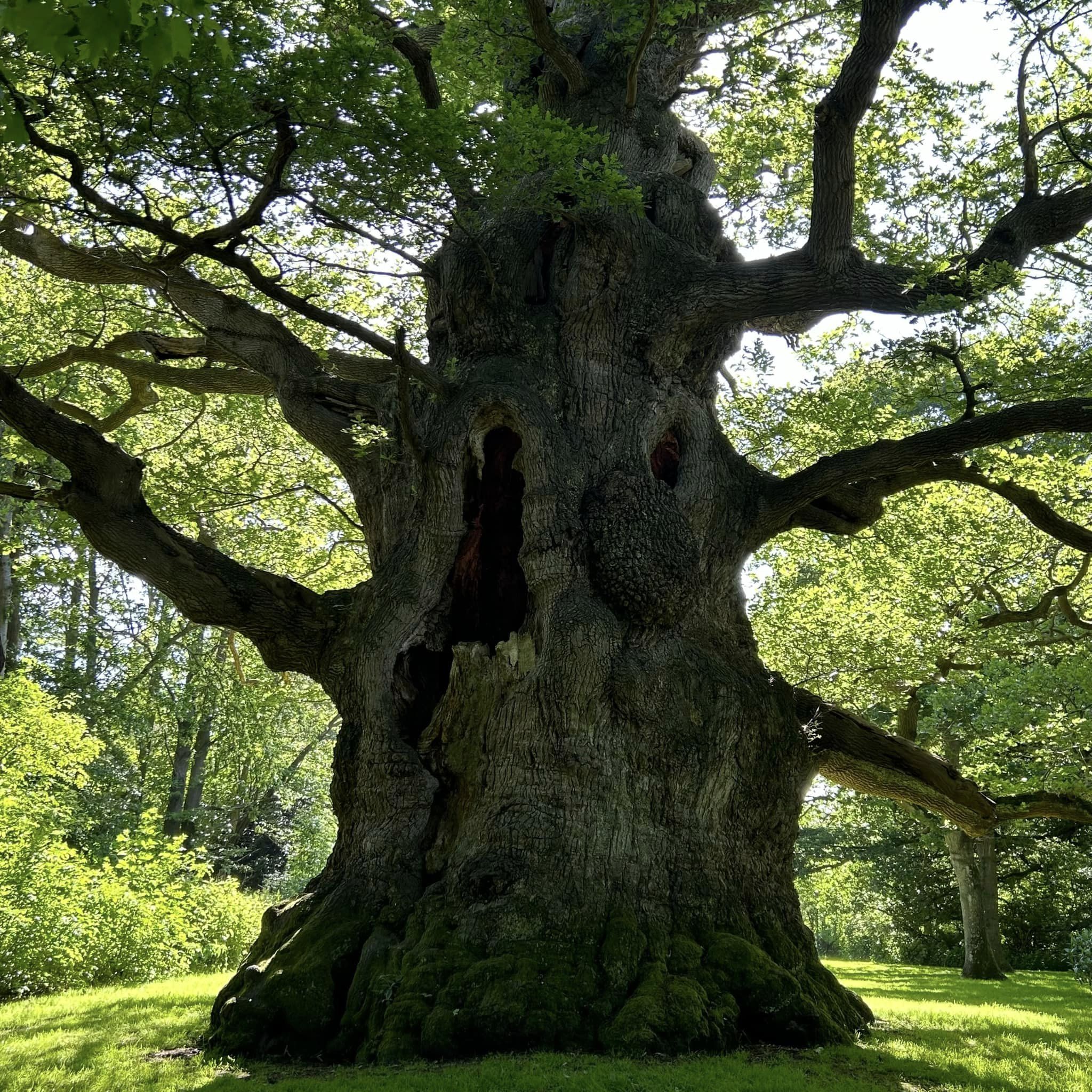 Dikke Bomen Studiereis 2024 - Foto 24