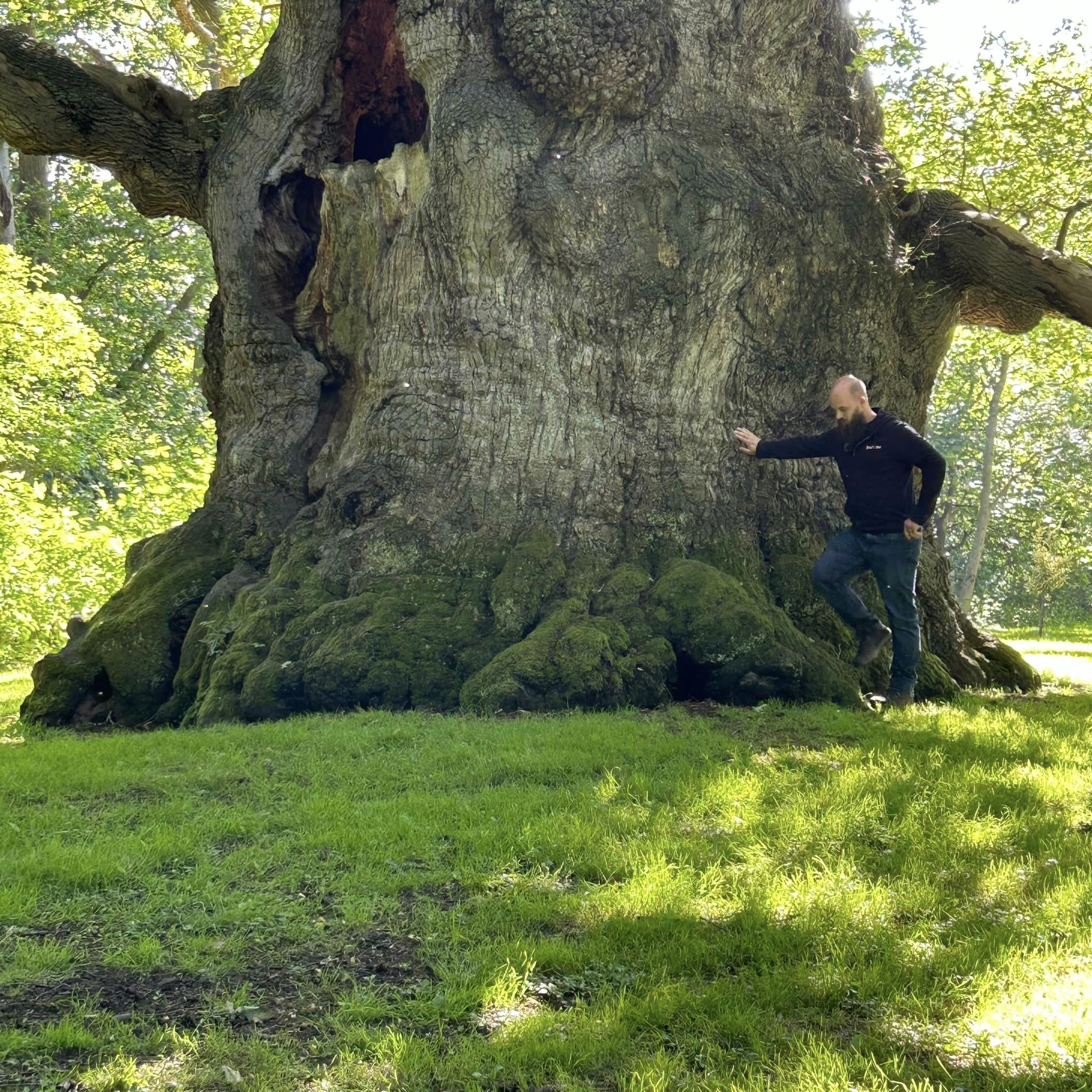 Dikke Bomen Studiereis 2024 - Foto 25