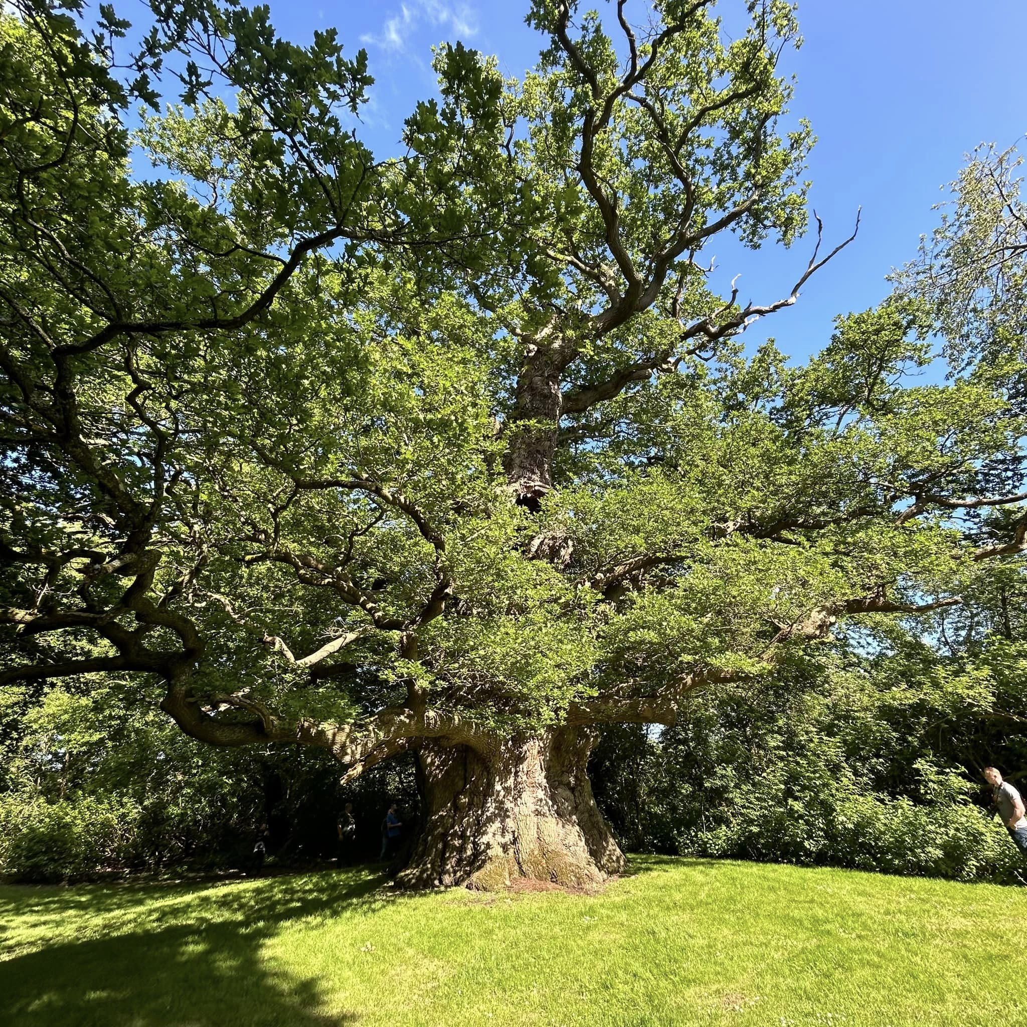 Dikke Bomen Studiereis 2024 - Foto 26
