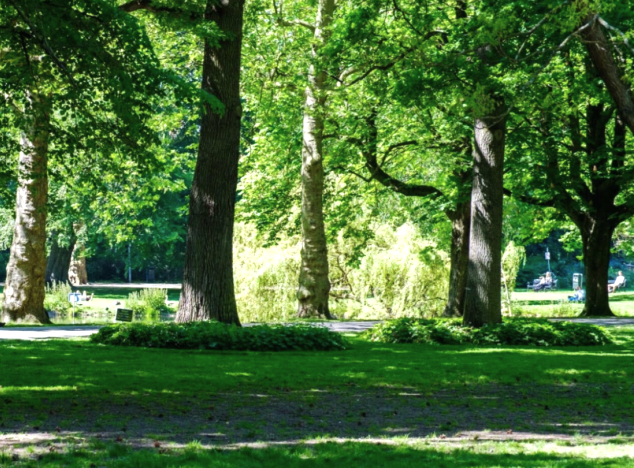 Tilburg (her)plant 1500 bomen - Foto 1