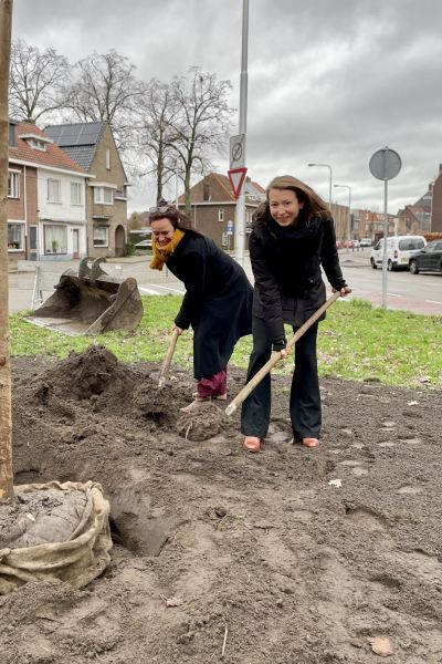 Tilburg (her)plant 1500 bomen - Foto 2