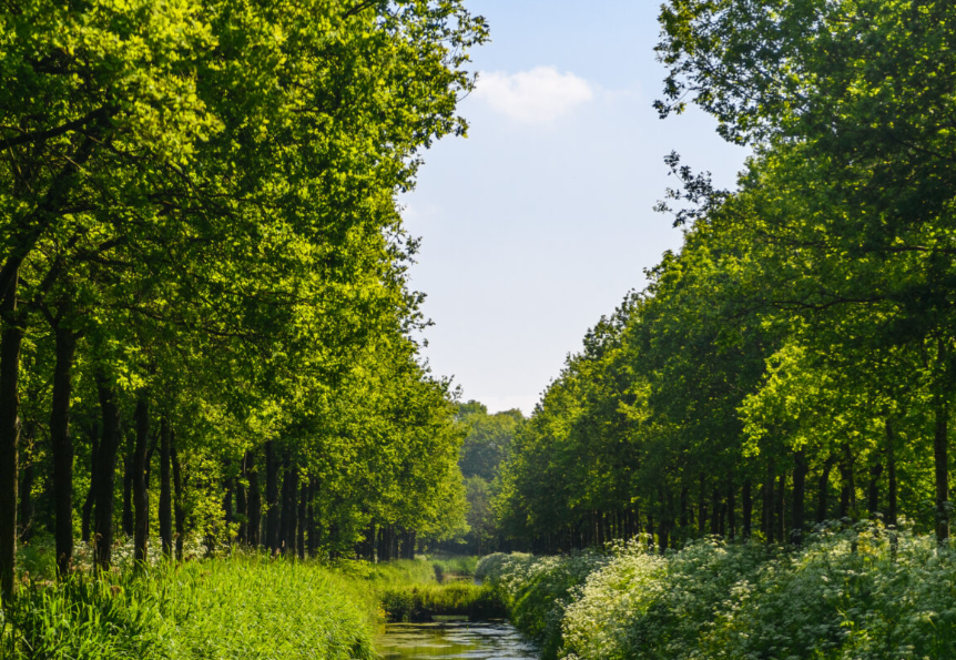 Zondag 22-9 boscafé Noorderbos Tilburg