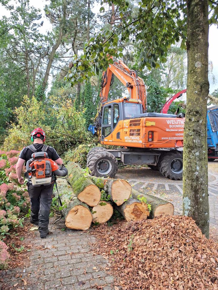 Lindeakkers Oirschot - Foto 1