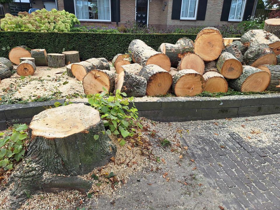 Lindeakkers Oirschot - Foto 8