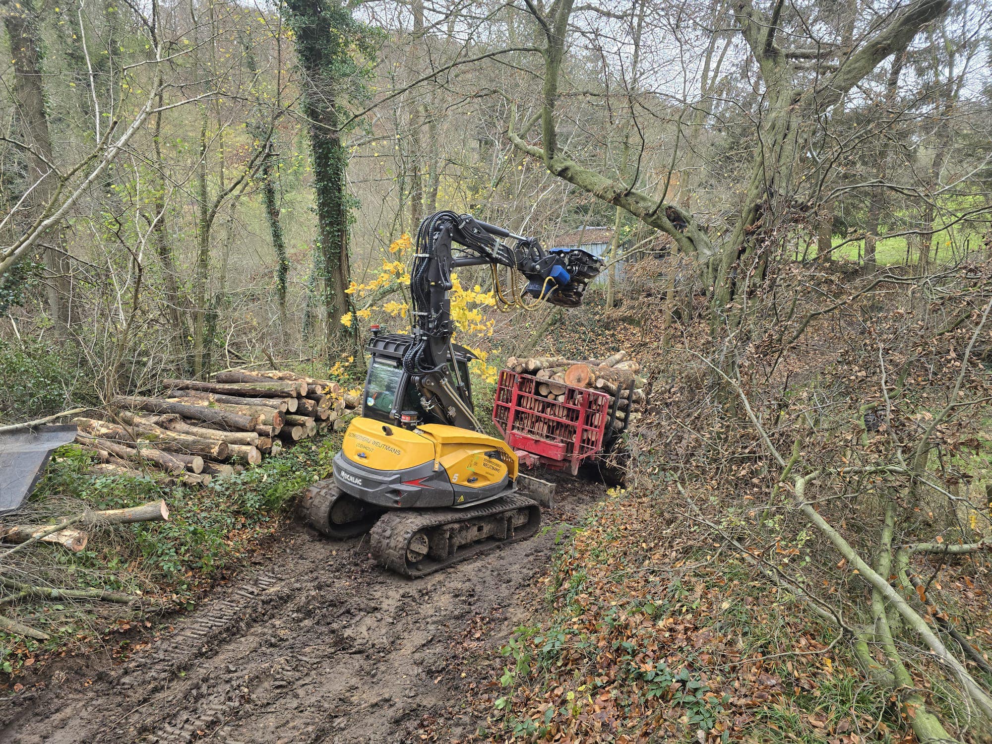 Dunning Sibbergrubbe - Foto 1