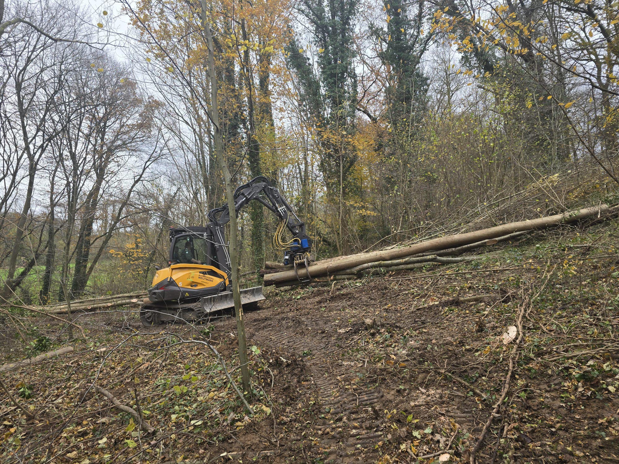 Dunning Sibbergrubbe - Foto 3