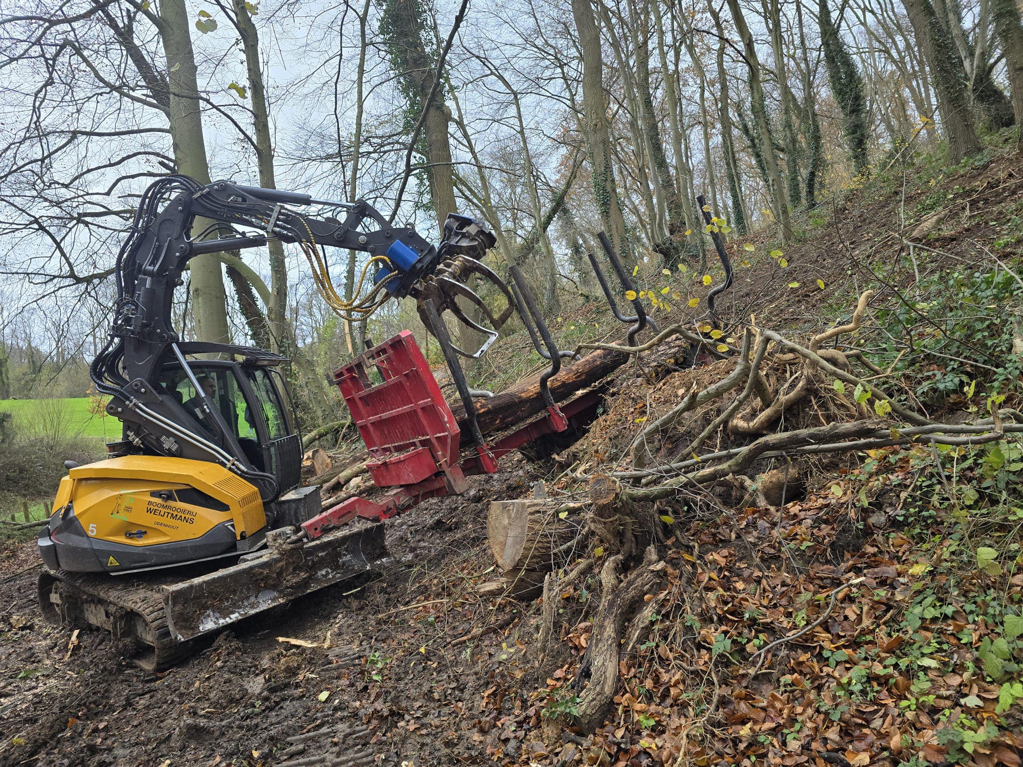 Dunning Sibbergrubbe - Foto 4