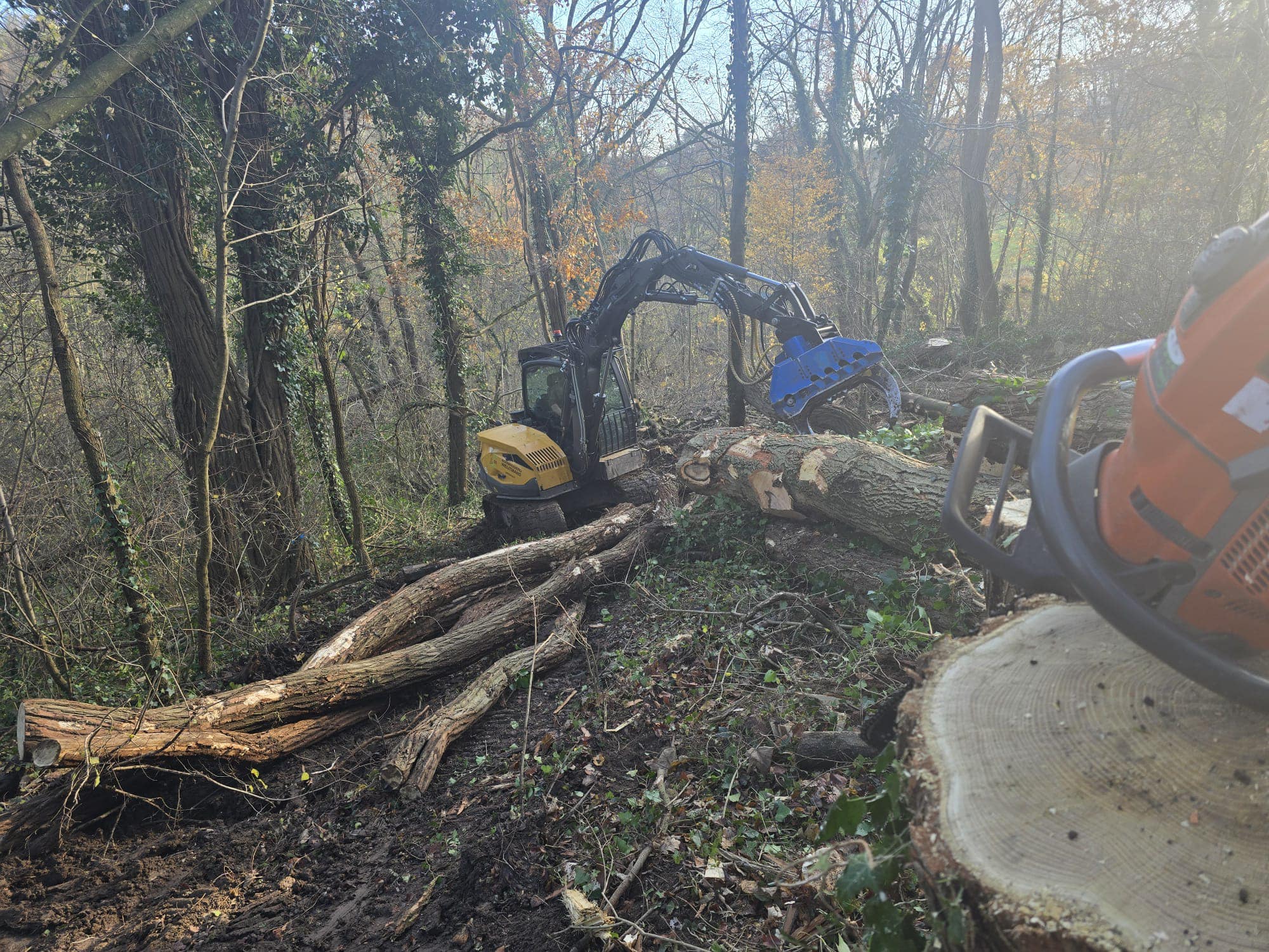 Dunning Sibbergrubbe - Foto 6