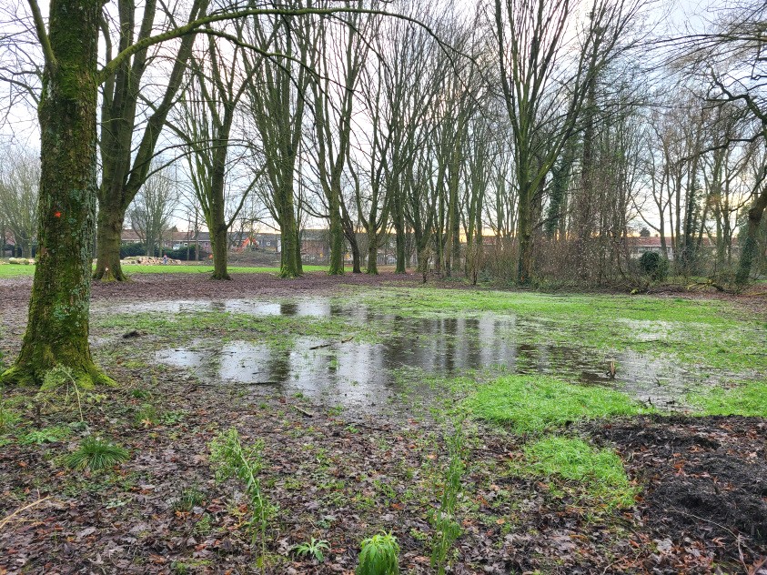 Stadspark Oude Dijk Tilburg - Foto 4