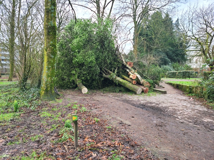Stadspark Oude Dijk Tilburg - Foto 6