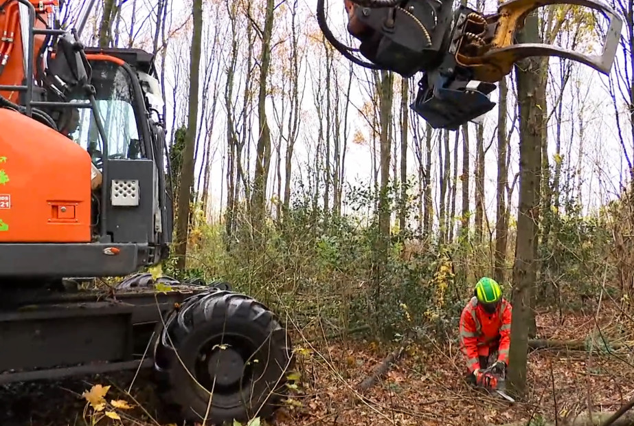 Emissie-vrij snoeiwerk Roosendaal - Foto 1