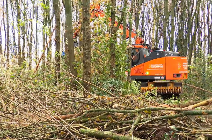 Emissie-vrij snoeiwerk Roosendaal - Foto 3