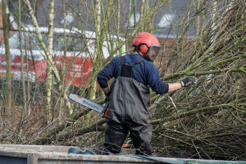 De boot in Berkel - Foto 6